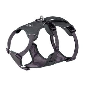 Pet Harness Dog Hand Holding Rope (Option: Gray-M)
